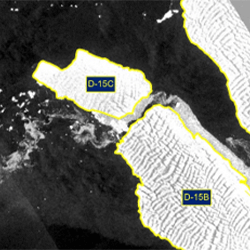 Thumbnail image of D-15C Press Release