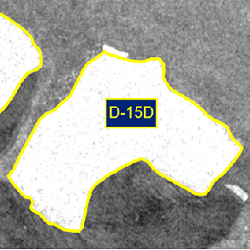 Thumbnail image of D-15D Press Release