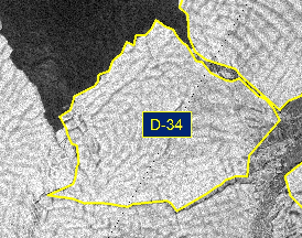 Thumbnail image of D-34 Press Release