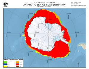 Thumbnail image of Antarctic ice
             concentration chart