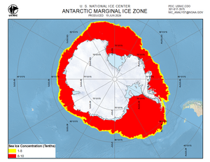 Thumbnail image of daily Antarctic marginal
             ice zone chart